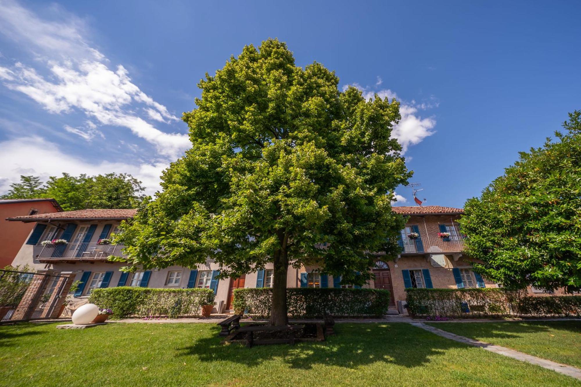 La Madernassa Resort - Casalora Dimora Storica Di Charme Guarene Exterior foto